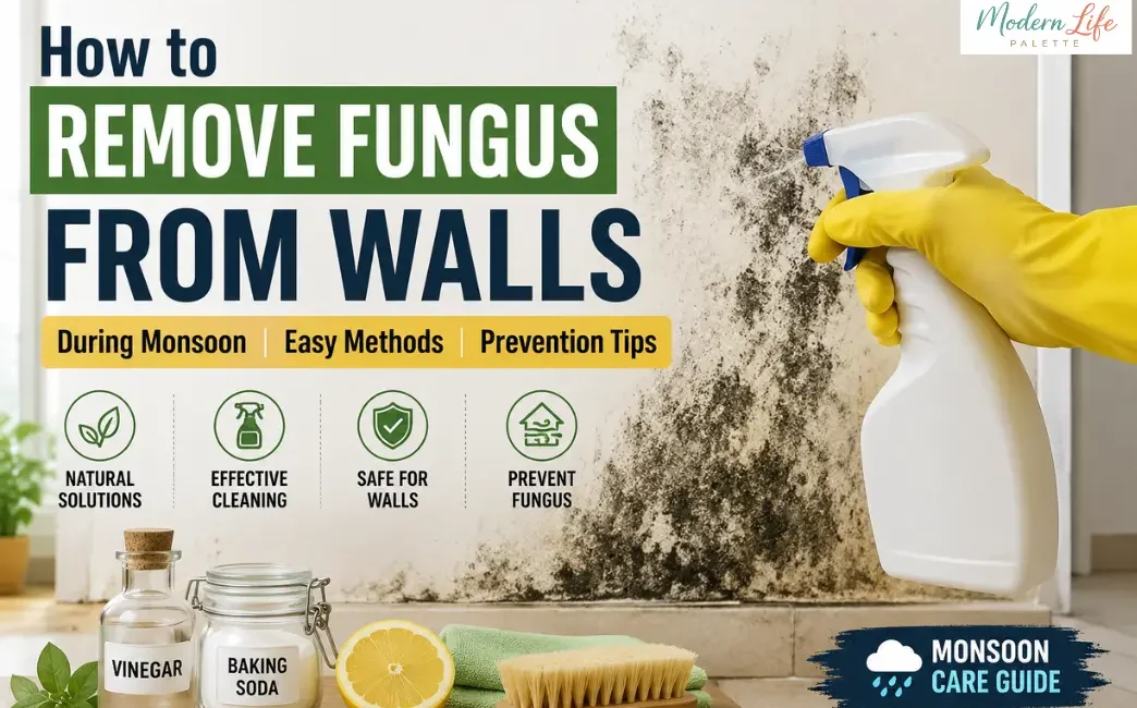 How To Remove Fungus From Walls - Modern Life Palette