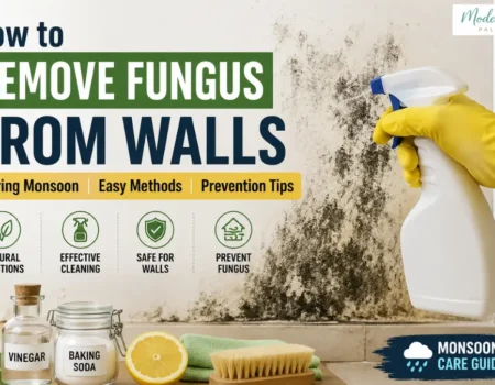 How To Remove Fungus From Walls - Modern Life Palette