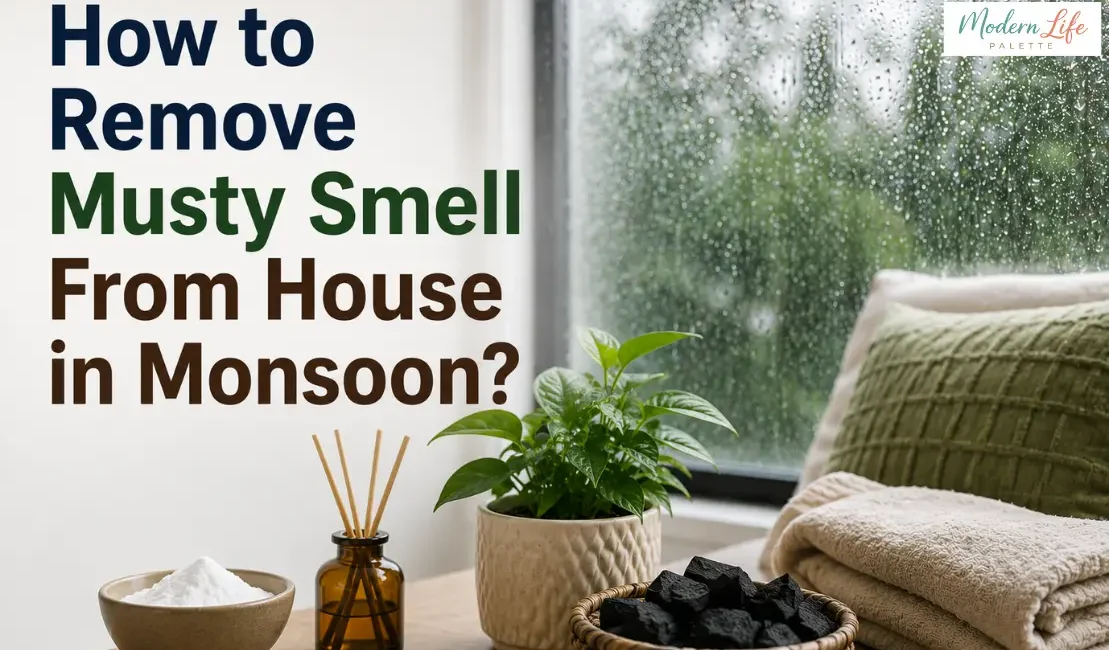 How To Remove Musty Smell From House In Monsoon - Modern Life Palette