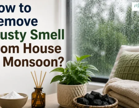How To Remove Musty Smell From House In Monsoon - Modern Life Palette