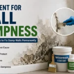 Treatment For Wall Dampness - Modern Life Palette