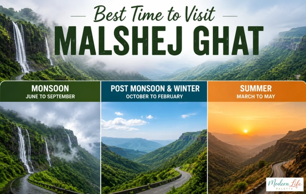 Best Tine To Visit Malshej Ghat