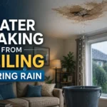 Water Leakage From Ceiling During Rain - Modern Life Palette