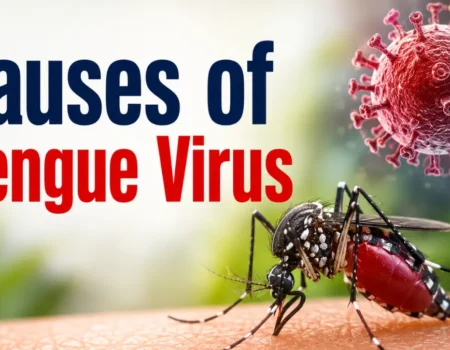 Causes of Dengue Virus