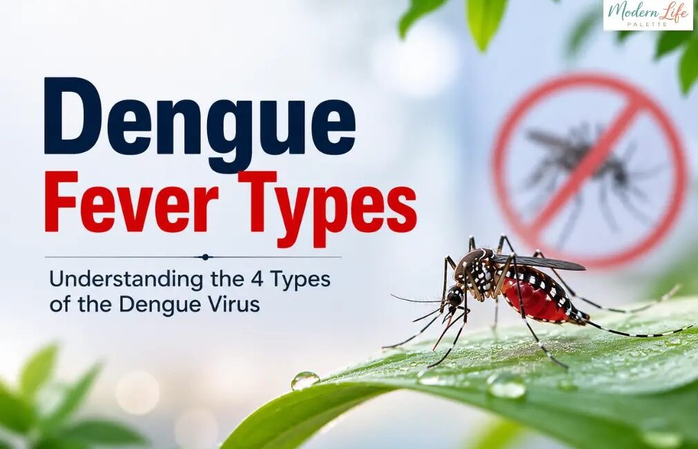 Dengue Types