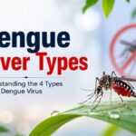 Dengue Types