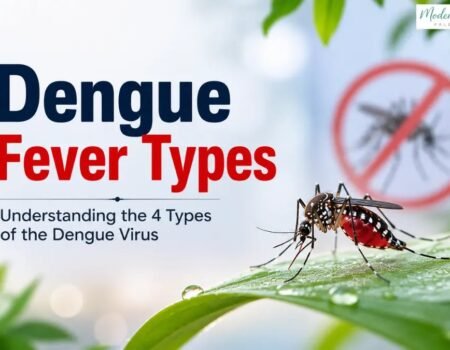 Dengue Types