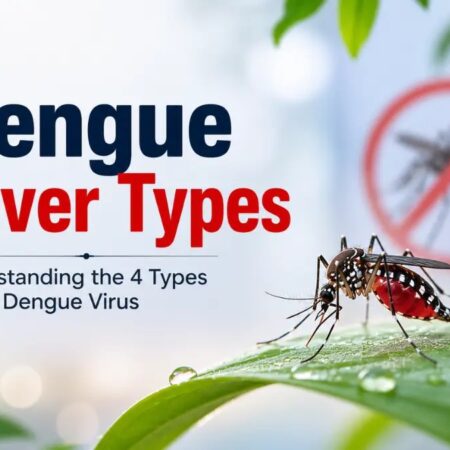 Dengue Types